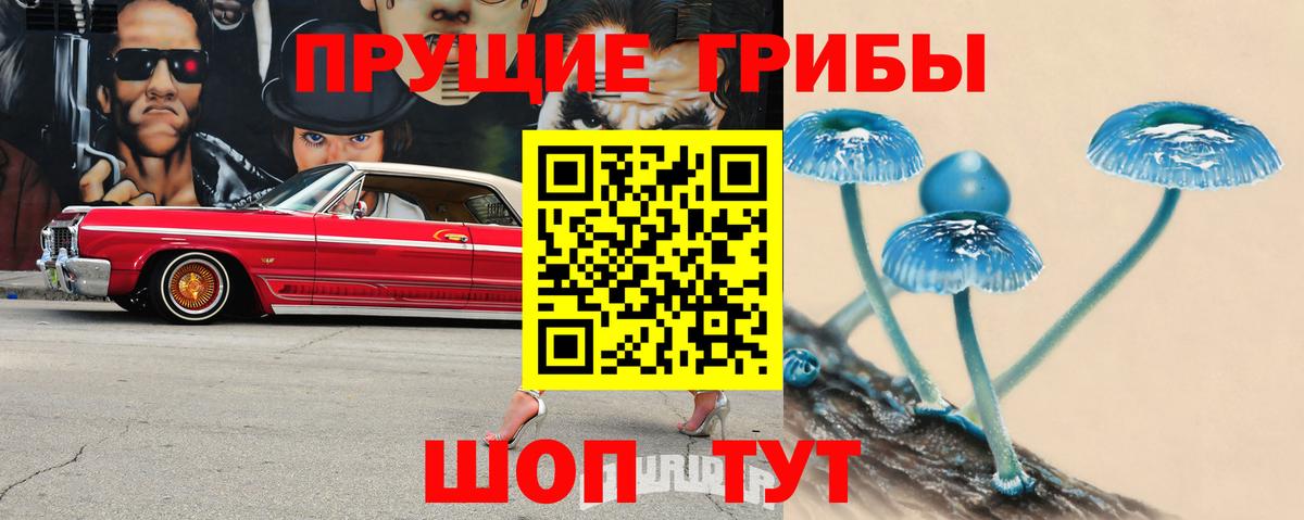 Псилоцибиновые грибы Cubensis Сухой Лог
