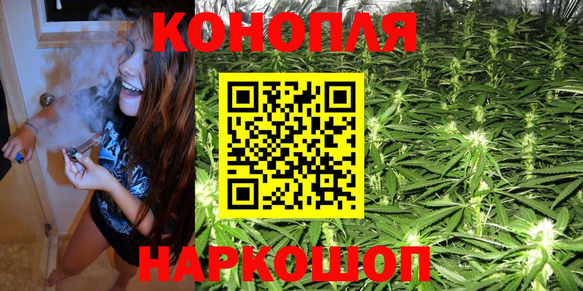 Канабис SATIVA & INDICA  Канабис сатива  МАРИХУАНА семена  Сухой Лог  Вход с VPN 